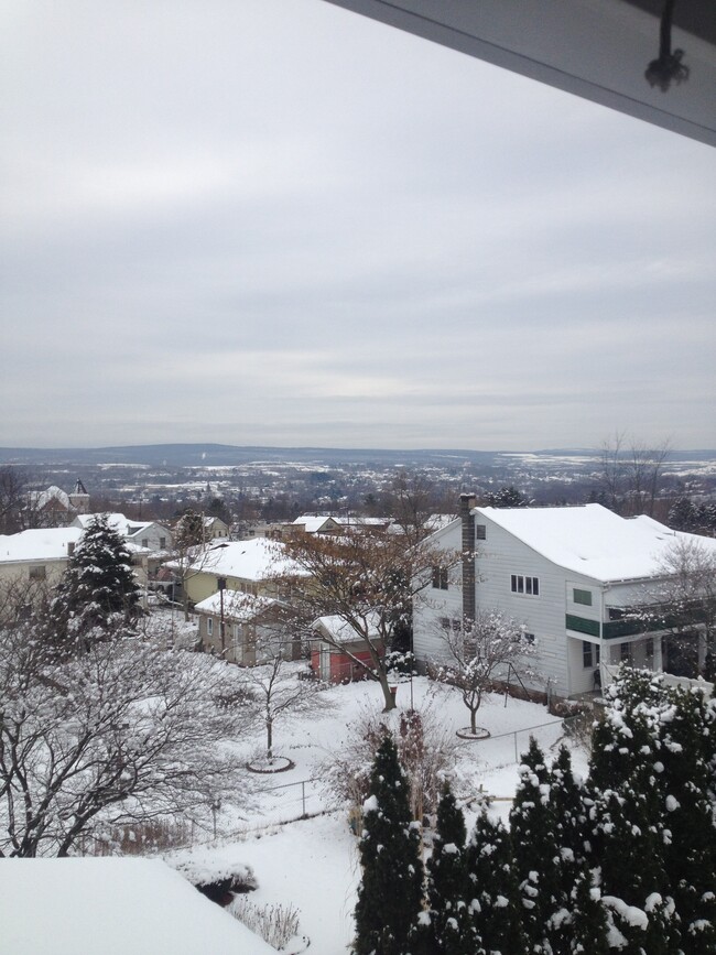 View from private porch - 222 W Mary St