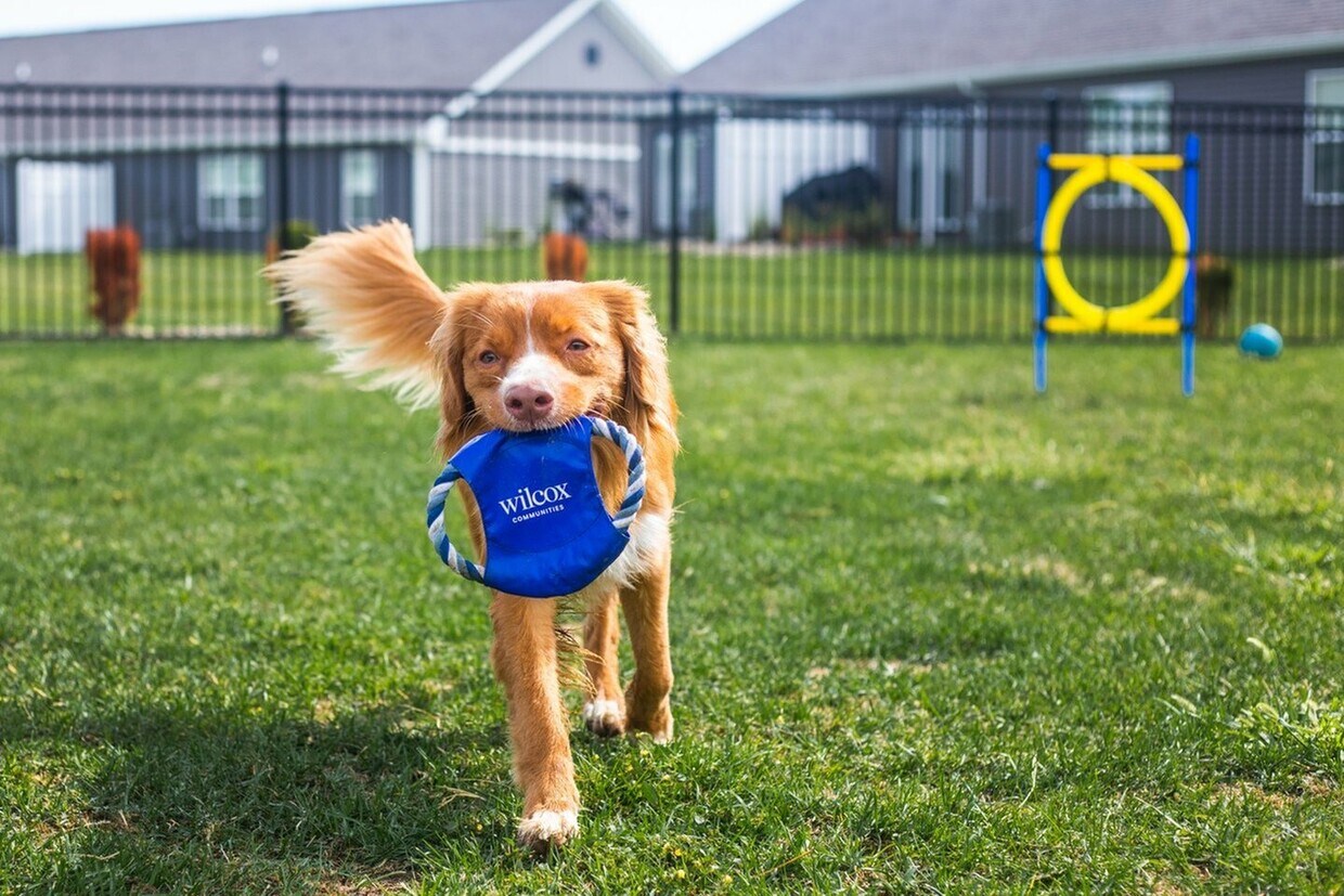 The Residences at James Place Apartments in Canal Winchester, OH