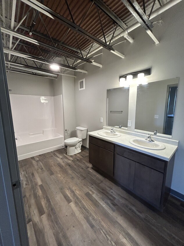 Skye Lofts Apartments - Apartments in Albert Lea, MN | Apartments.com