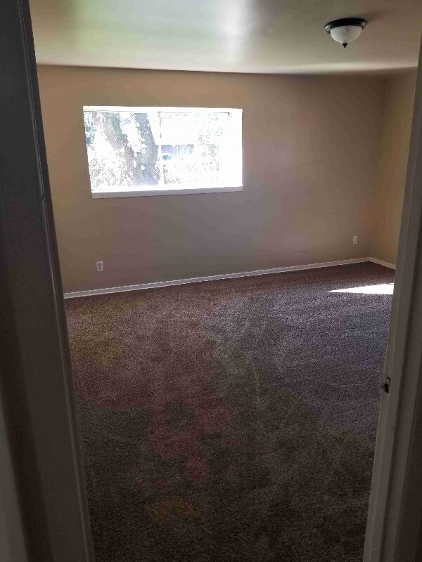 Building Photo - 4427 Trafalgar Dr