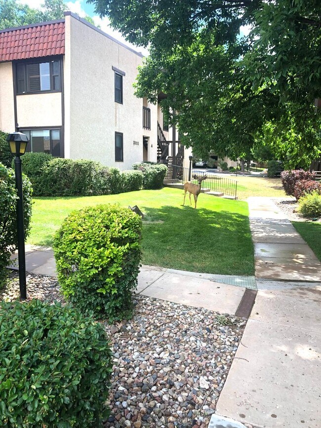 Building Photo - Beautiful 2 BD, 2 BA Ground Floor Townhome...