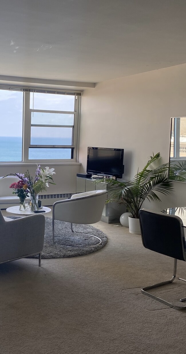 Water view from Living room - 1150 N Lake Shore Dr
