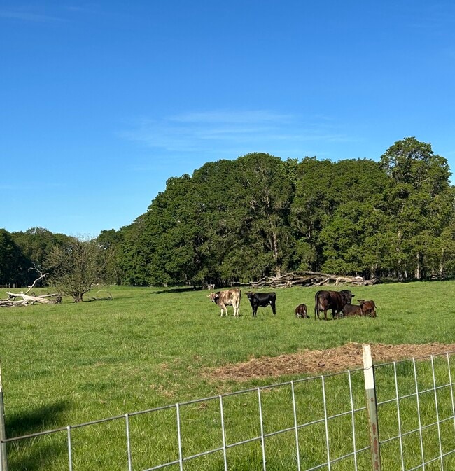 Backyard Fenced Pasture - 34558 Fry Rd SE