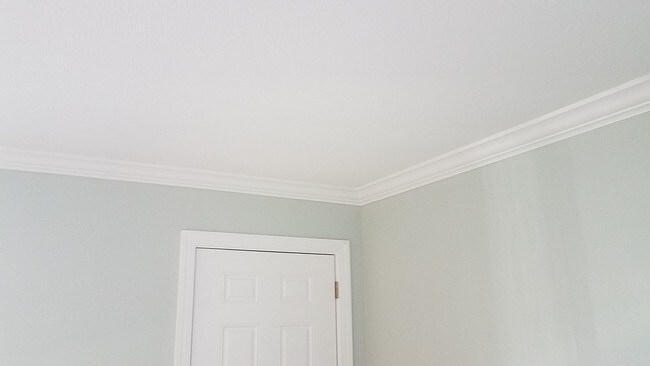 Building Photo - 525 Manatee Ct