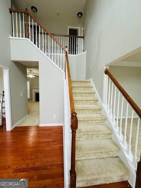 Building Photo - 3999 Elm Trace Dr