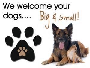 Pets welcome! - Sunrise Apartments