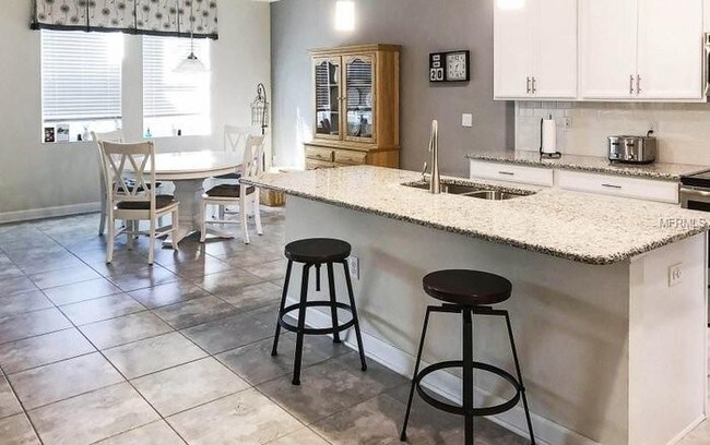Building Photo - 5882 Alenlon Way, Mount Dora, FL 32757