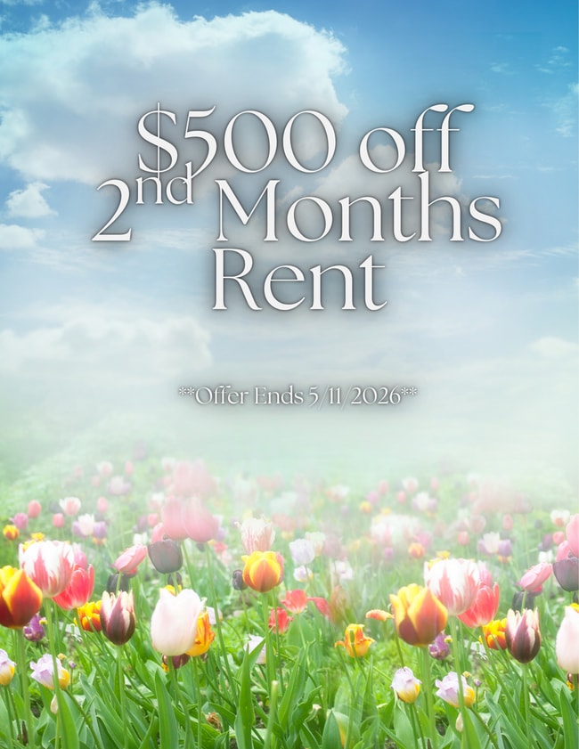 Photo - Welcome to SkyView Villa & Somerset Apartments!