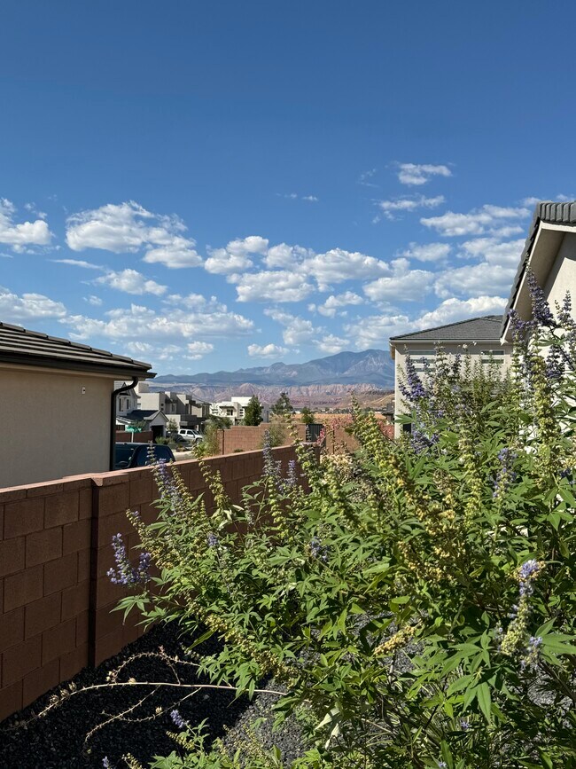 Foto del edificio - 1262 E Daylily Dr