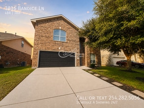 Building Photo - 3816 Bandice Ln