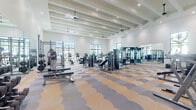 Located at 3514 Aspire Cir in Cape Coral, Florida, this single-story fitness center is designed to provide a comprehensive workout environment with a bright, modern aesthetic. The architecture features soaring ceilings with exposed white-painted beams, recessed lighting, and ceiling fans that contribute to an open, airy atmosphere throughout the space.

The main workout area is expansive, accommodating a wide array of strength-training equipment, including cable machines, power racks, multi-use cable systems, adjustable benches, and a full dumbbell rack. Large floor-to-ceiling mirrors line the walls, enhancing the sense of space, while a distinctive wave-patterned carpet in tan and gray tones covers the floor, adding visual character to the room.

A dedicated cardio zone features treadmills, ellipticals, a rowing machine, and stationary bikes, all positioned near oversized windows that frame views of palm trees and the surrounding Florida landscape, ensuring natural light floods the space during workouts.

A separate studio or flex room offers wood-look tile flooring, spin bikes, stability balls, and a medicine ball and kettlebell rack, providing a versatile setting for group or individual training. Near the entrance, a hydration station with a water bottle refill fountain and posted fitness center rules ensures a well-organized facility. The overall ambiance is clean, modern, and inviting.