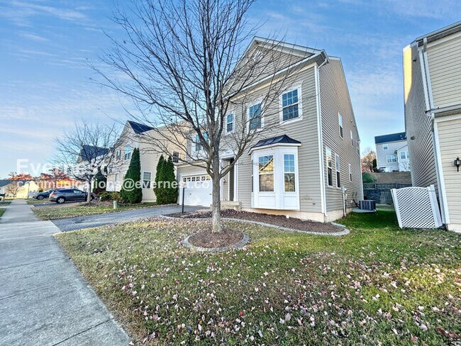 Foto del edificio - 29 Trail Ridge Ln