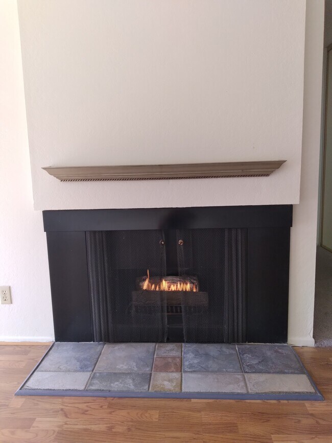 Gas fireplace - 316 N El Camino Real