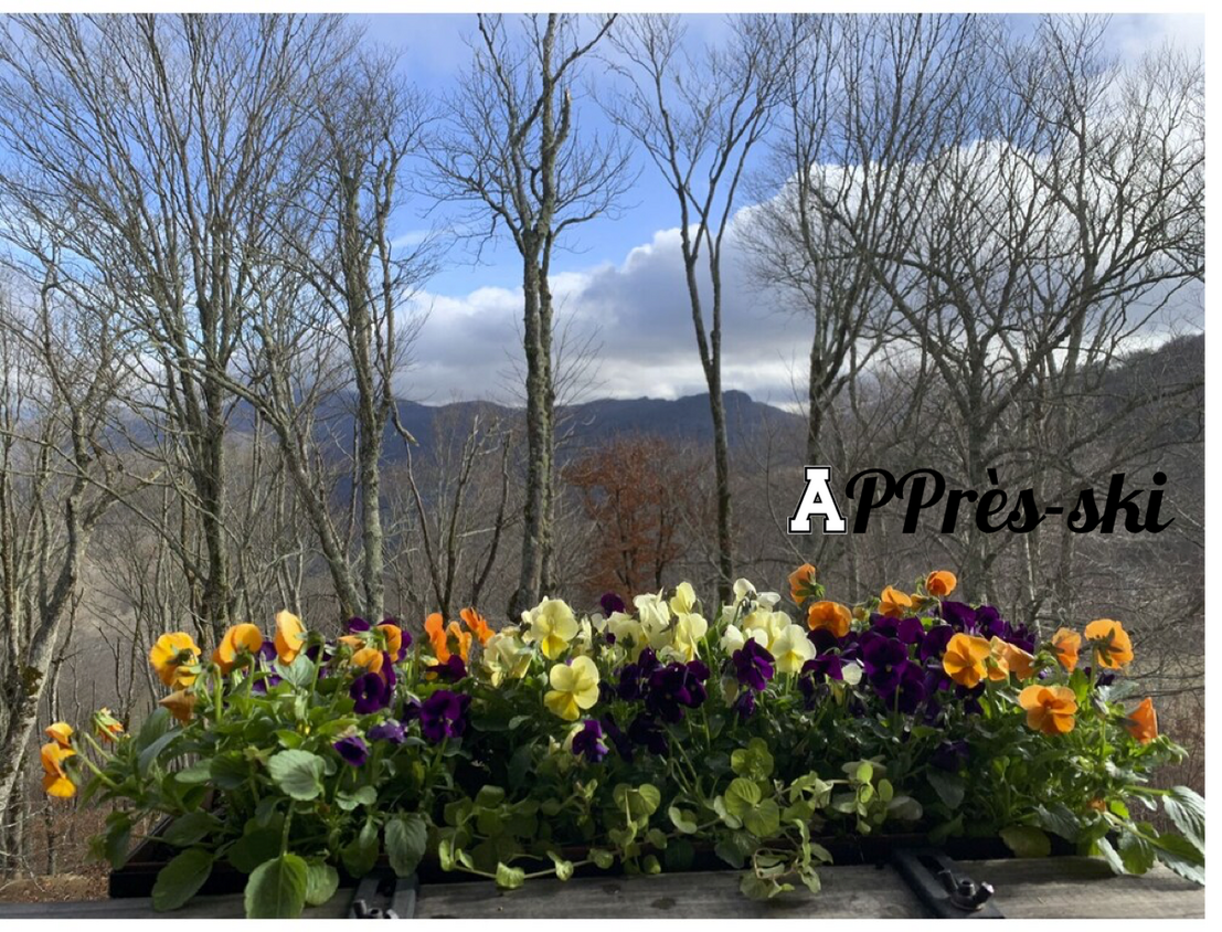 Photo - 102 Sugar Ski Dr (Sugar Mountain, NC)