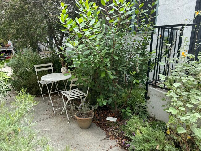 Foto del edificio - 1616 Silver Lake Blvd