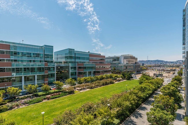 Building Photo - Madrone Corner Condo with Terrace