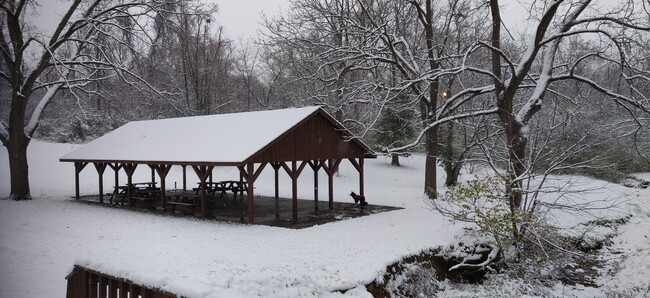 Green area with shelter - 501 W Terry Ln