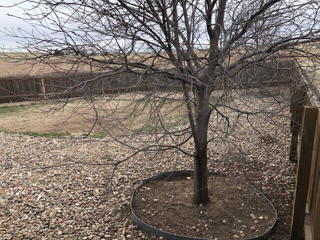 Photo - Duplex Town Home Rancher One Level Living