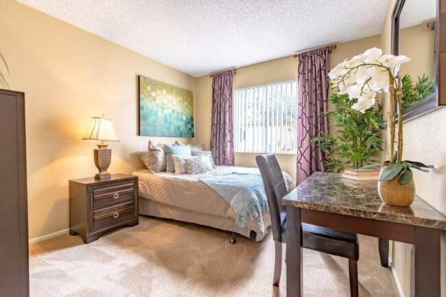 Building Photo - Playa Vista Apartments