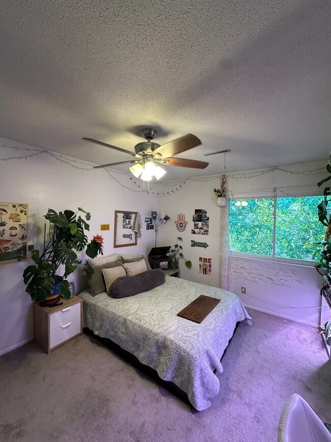 Upper-level bedroom with large window and walk-in closet - 1309 Ontario Cir