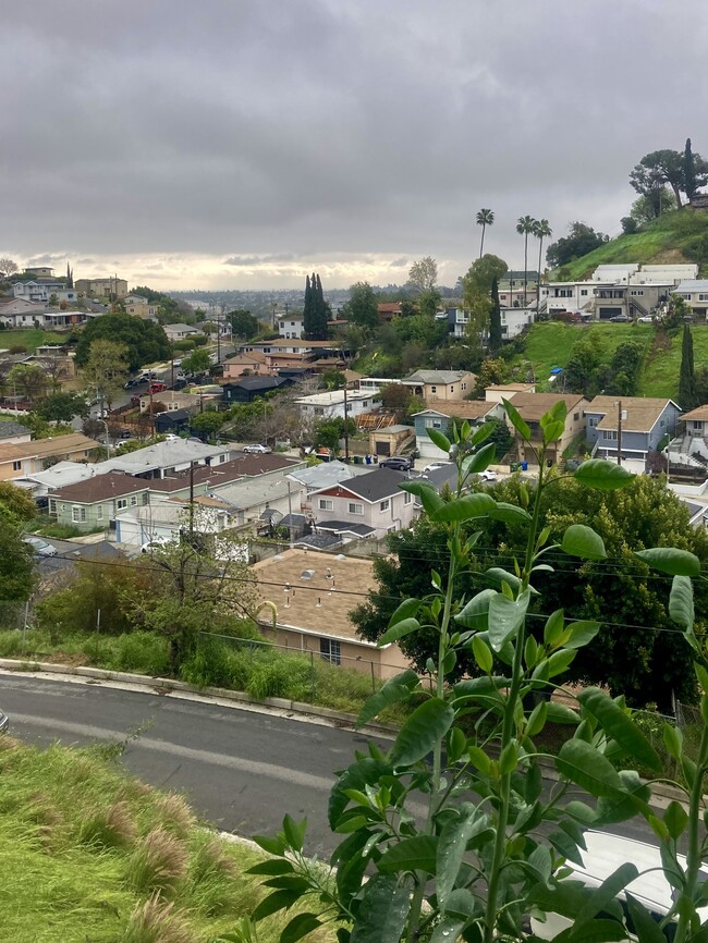 View - 2830 Chadwick Cir