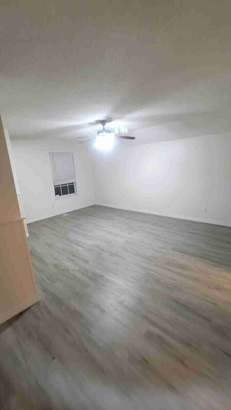 Foto del edificio - 953 Osprey Ct