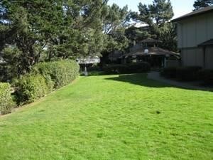 Foto del edificio - 376 Imperial Way #104