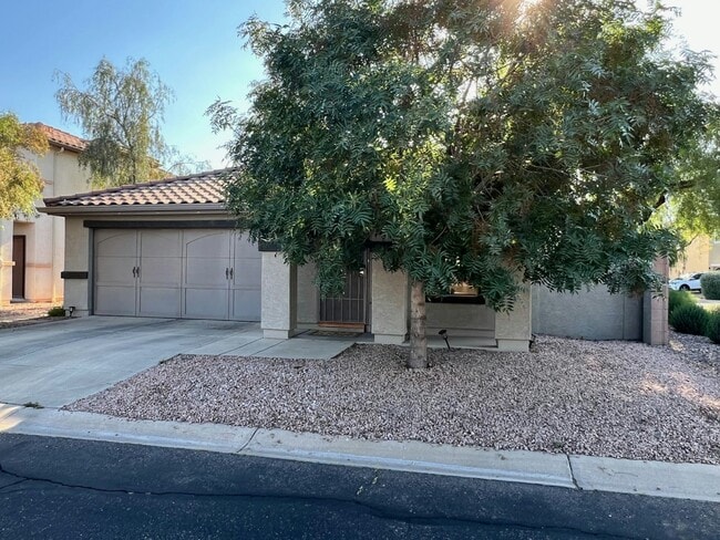 Building Photo - 3649 E Orchid Ln