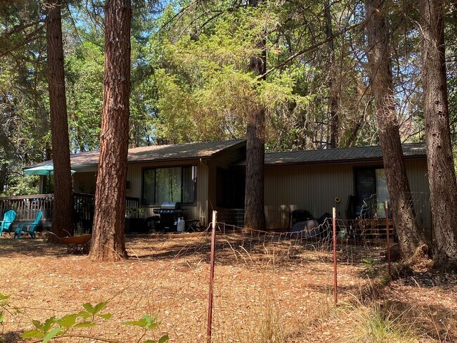 Foto del edificio - LOVELY 2 BEDROOM COUNTRY HOME FOR RENT