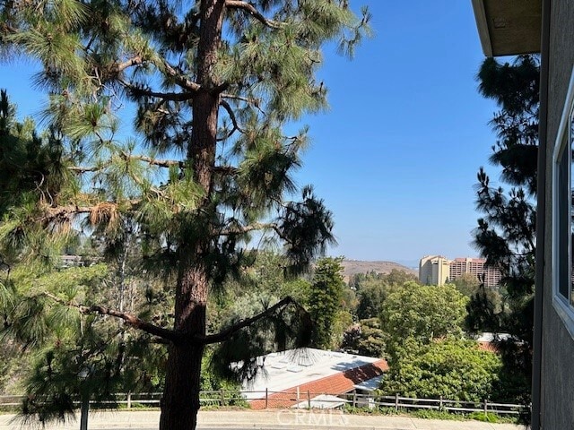 Building Photo - 3241 San Amadeo