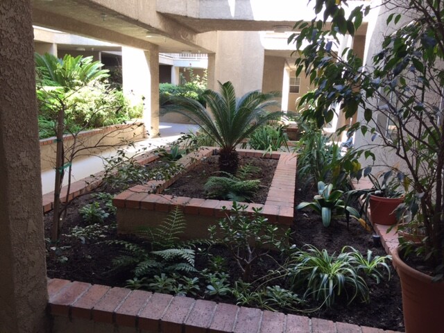 Atrio del jardín - 555 Redondo Ave