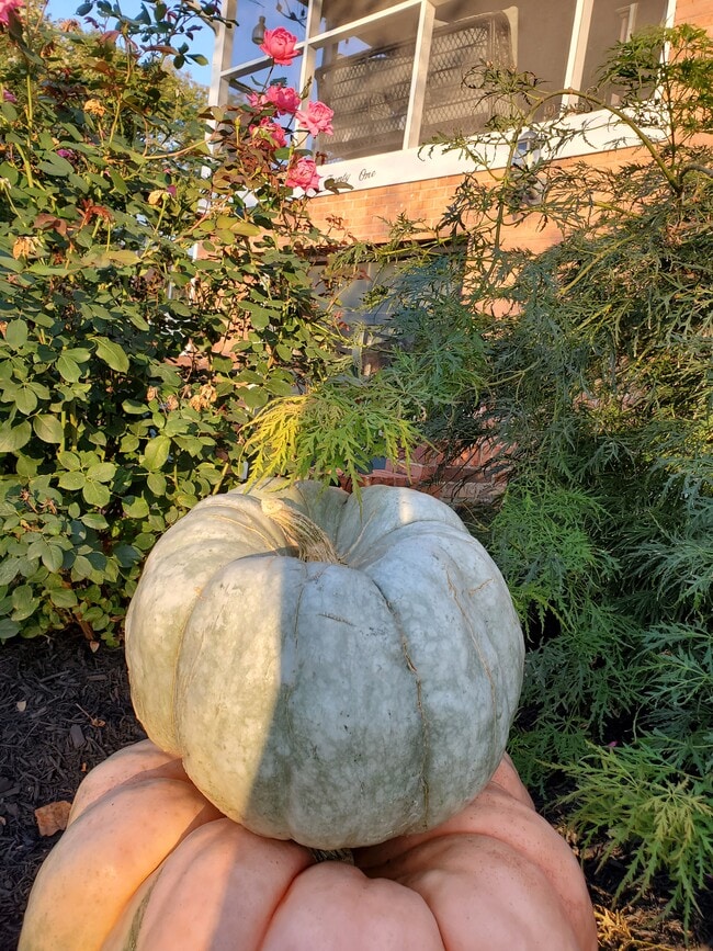 Landscaping - 621 Broadview Dr