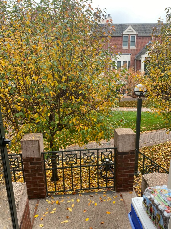 Building Photo - 95 Audubon Ct