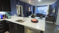 This single-floor residence showcases a thoughtfully designed open-concept layout that seamlessly connects the kitchen and living areas. The kitchen features a sleek island with a light-toned quartz countertop, an undermount stainless steel sink with a contemporary pull-down faucet, and dark cabinetry beneath. A stainless steel dishwasher is integrated into the island, contributing to the clean, modern aesthetic. Track lighting overhead provides focused illumination throughout the space.

The bold navy blue accent walls create a striking visual contrast against the white countertops and light-colored flooring, giving the space a vibrant, urban character. A large mirror near the kitchen reflects light and adds depth to the room. The living area, visible beyond the kitchen island, is furnished with comfortable seating and features a decorative illuminated letter display, adding a personalized touch. Floor-to-ceiling windows along the far wall flood the space with natural light and offer views of an outdoor area, enhancing the open, airy feel of the interior. Overall, the space balances contemporary design with a bold, distinctive personality.