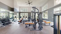 This generously sized fitness center in Germantown, Maryland offers a bright, open-concept layout designed to support a full range of workout routines. The space features soaring two-story ceilings accented by large, white-trimmed windows that line multiple walls, flooding the interior with natural light and providing scenic views of the surrounding greenery. The walls are finished in a modern two-tone gray palette, complemented by durable speckled rubber flooring throughout.

The cardio zone is well-stocked with multiple treadmills, ellipticals, a stair climber, stationary bikes, and a rowing machine — all positioned to take advantage of the natural light and outdoor views. Strength training is equally comprehensive, with a multi-station cable machine system, Smith machine, free-weight benches with orange upholstery, a full dumbbell rack, and a variety of resistance and functional training equipment including stability balls, medicine balls, and resistance bands.

Full-length mirrors along the walls enhance the sense of openness and allow users to monitor their form during workouts. A large ceiling fan adds to the comfort of the space. The fitness center is accessible through double glass doors and is designed to serve a broad range of fitness needs in a clean, modern, and energizing environment.