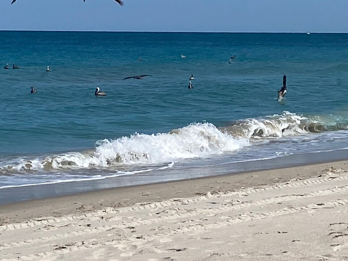 3870 N Highway A1A Unit 305, Hutchinson Island, FL 34949 Condo for