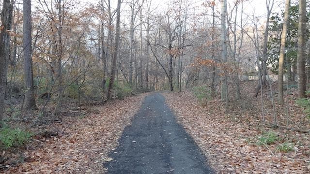 next to wood trail - 3040 Winter Pine Ct