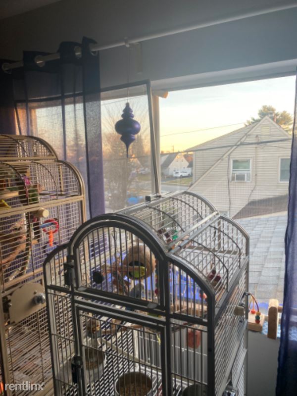Primary Photo - 1 br, 1 bath House - 40 High Lane