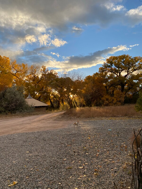 Foto del edificio - 28 NM-503