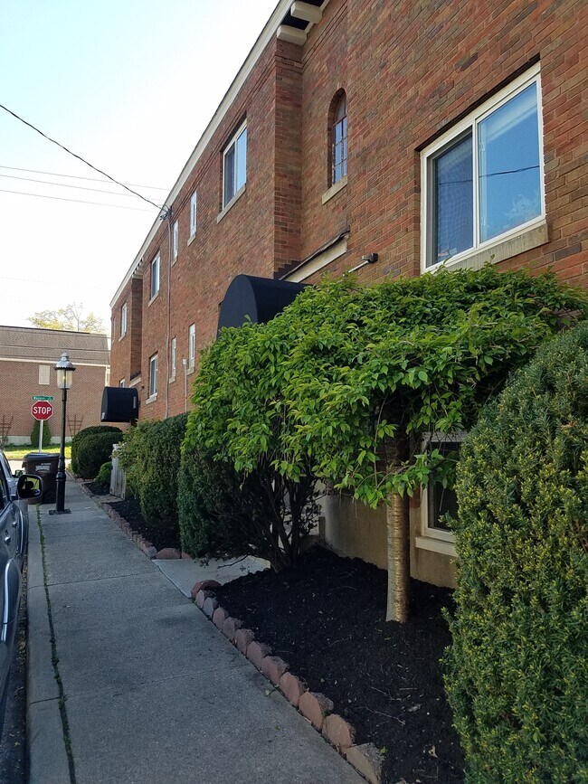 Bosque mirando el sendero Wasson - 3701 Woodland Ave