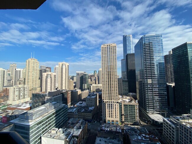 Unit View - 400 N La Salle Dr