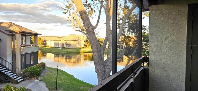 Foto del edificio - 10263 Gandy Blvd N