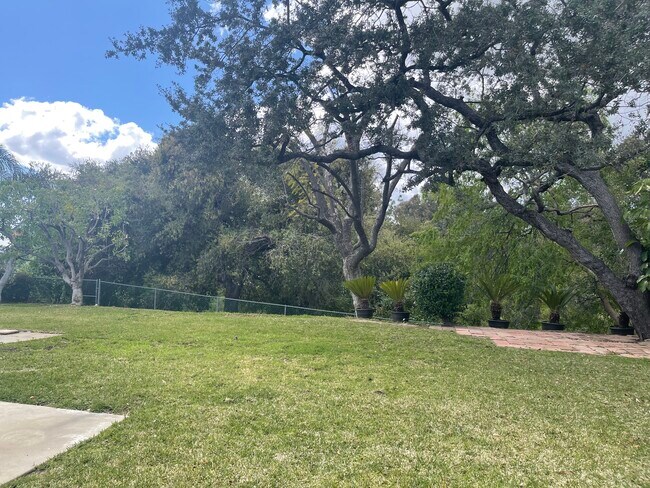 Spacious Yard - 985 Riviera Dr