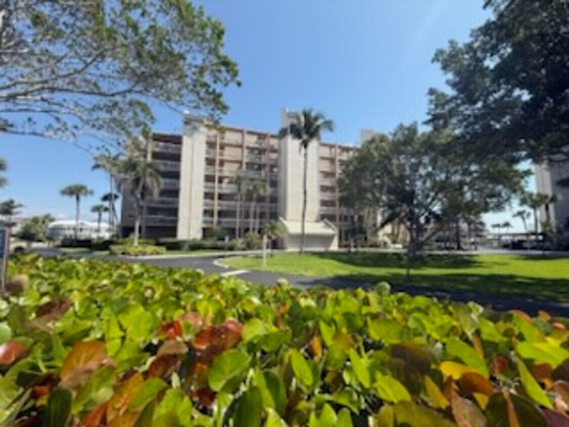Primary Photo - eagle cay