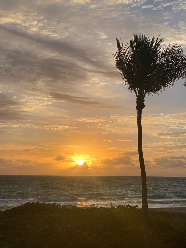 Wake to THIS everyday!!! Walk out to beach from your deck!! - 6000 N Ocean Blvd