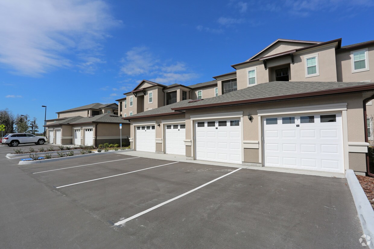 1950 Spade Fish Blvd Unit E 101, Trinity, FL 34655 Condo for Rent in