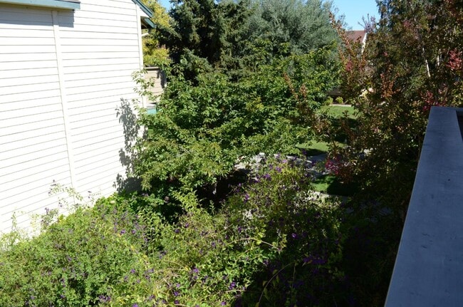 Building Photo - 761 N Fair Oaks Ave