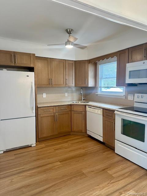 Building Photo - 3861 Peter St