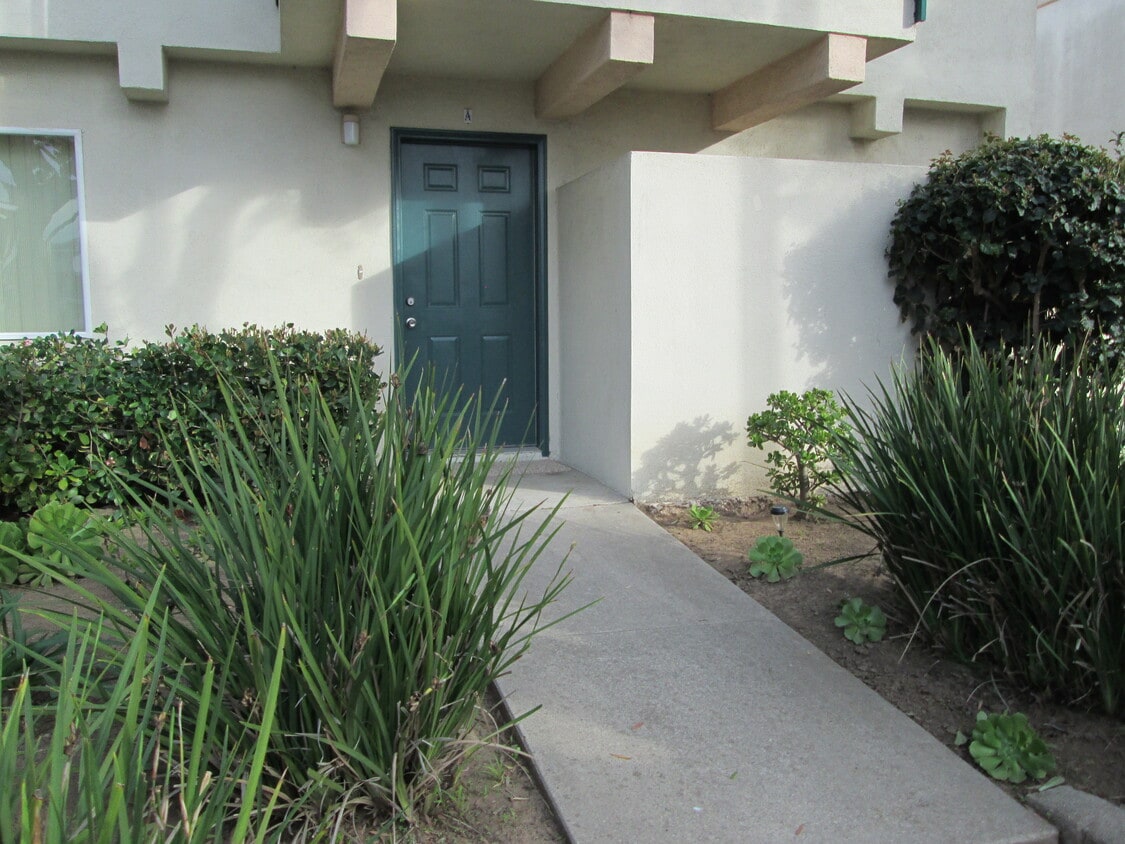 Primary Photo - 246 Ellwood Beach Dr