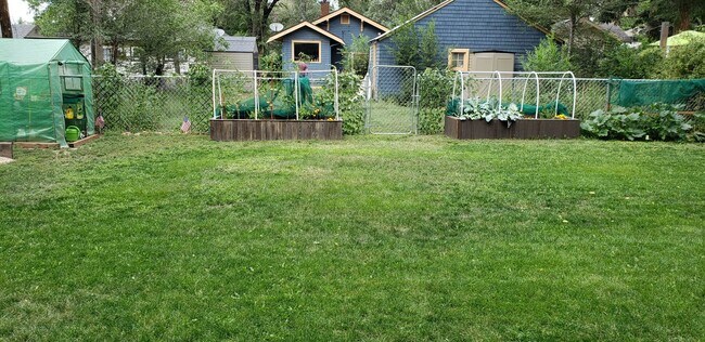 Finished yard - 819 E Yampa St